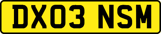 DX03NSM