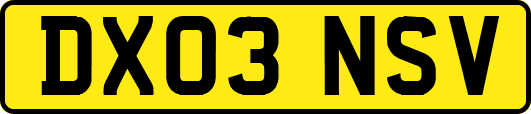 DX03NSV