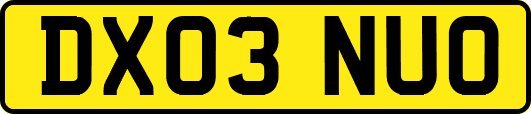 DX03NUO