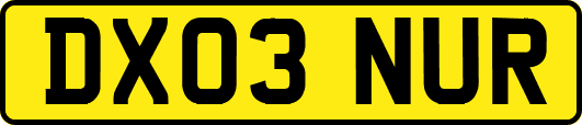 DX03NUR