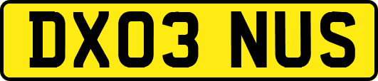 DX03NUS