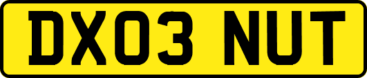 DX03NUT