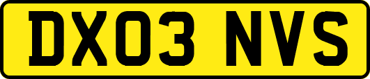 DX03NVS