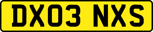 DX03NXS