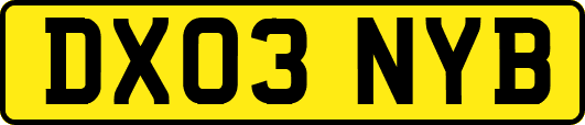 DX03NYB