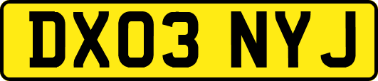 DX03NYJ