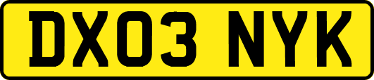 DX03NYK
