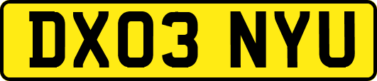DX03NYU