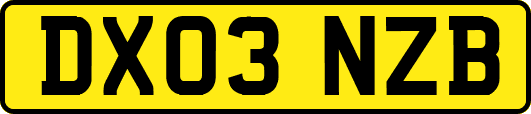 DX03NZB