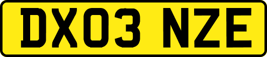 DX03NZE