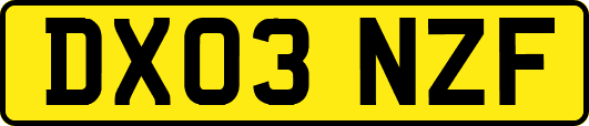 DX03NZF