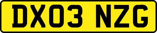 DX03NZG