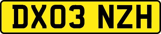 DX03NZH