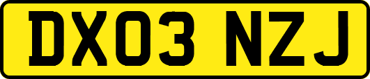 DX03NZJ