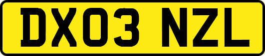 DX03NZL