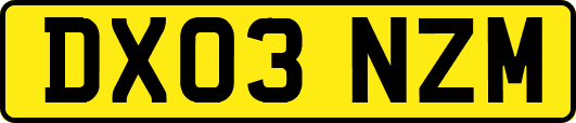 DX03NZM