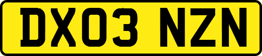 DX03NZN