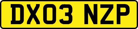 DX03NZP