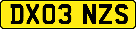 DX03NZS