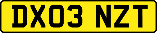 DX03NZT