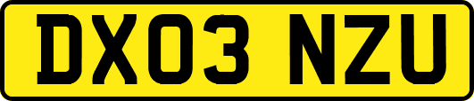 DX03NZU