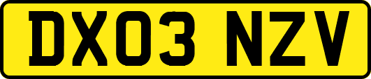 DX03NZV