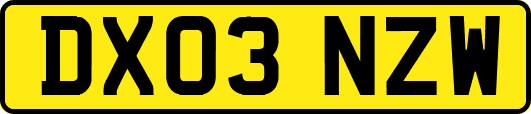 DX03NZW