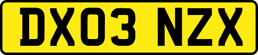 DX03NZX