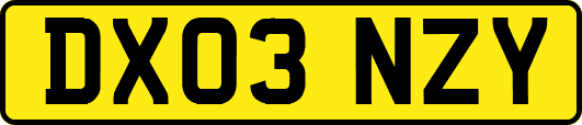 DX03NZY