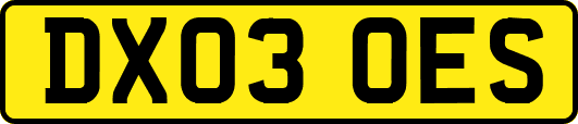 DX03OES