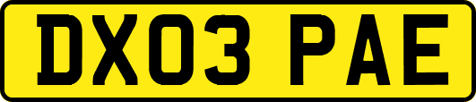 DX03PAE