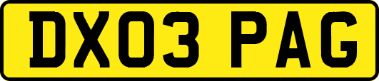 DX03PAG