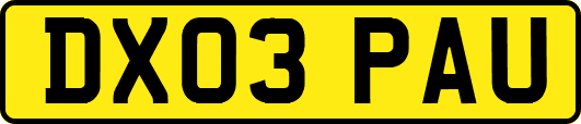 DX03PAU