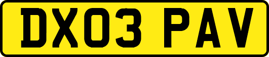 DX03PAV