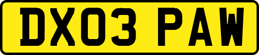 DX03PAW