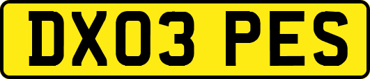 DX03PES