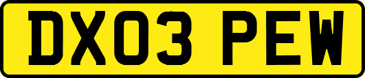DX03PEW