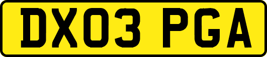 DX03PGA