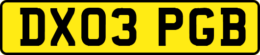 DX03PGB