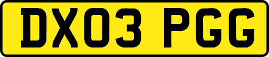 DX03PGG