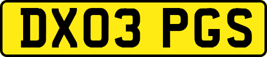 DX03PGS