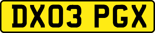 DX03PGX