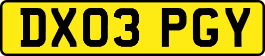 DX03PGY