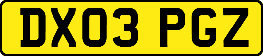 DX03PGZ