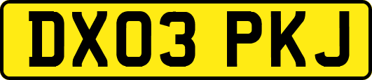 DX03PKJ