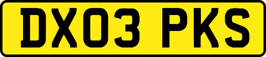 DX03PKS