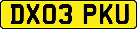DX03PKU