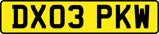 DX03PKW