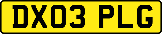 DX03PLG