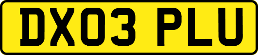 DX03PLU